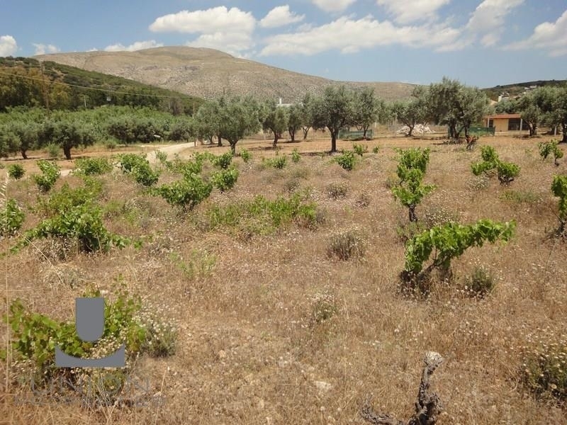(For Sale) Land Plot || East Attica/Anavyssos - 4.050 Sq.m, 250.000€ 