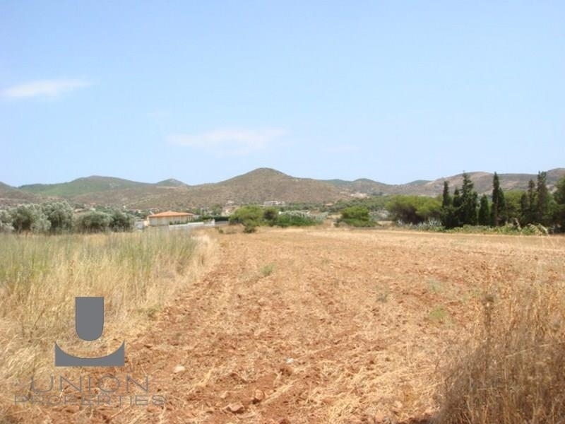 (For Sale) Land Plot || East Attica/Anavyssos - 7.500 Sq.m, 450.000€ 