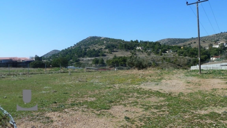 (For Rent) Land Plot || East Attica/Kalyvia-Lagonisi - 6.500 Sq.m, 2.500€ 
