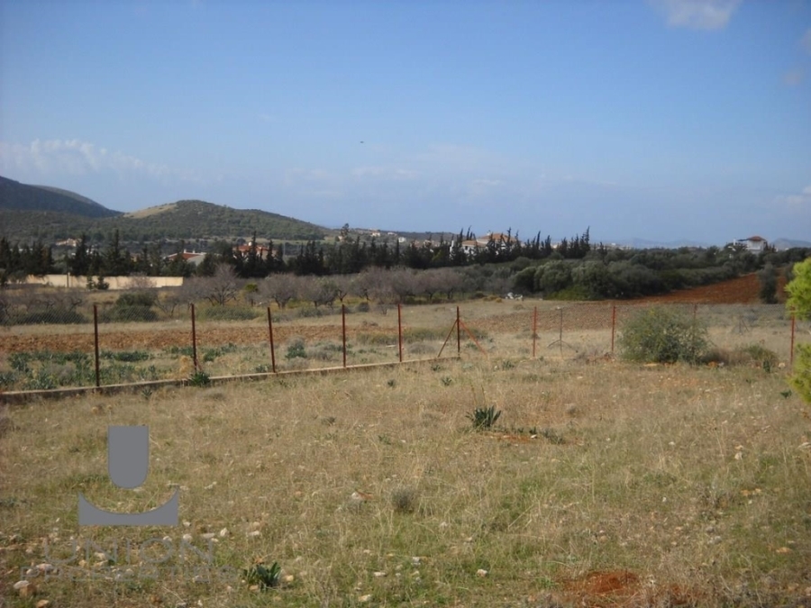 (For Sale) Land Plot || East Attica/Kalyvia-Lagonisi - 676 Sq.m, 60.000€ 