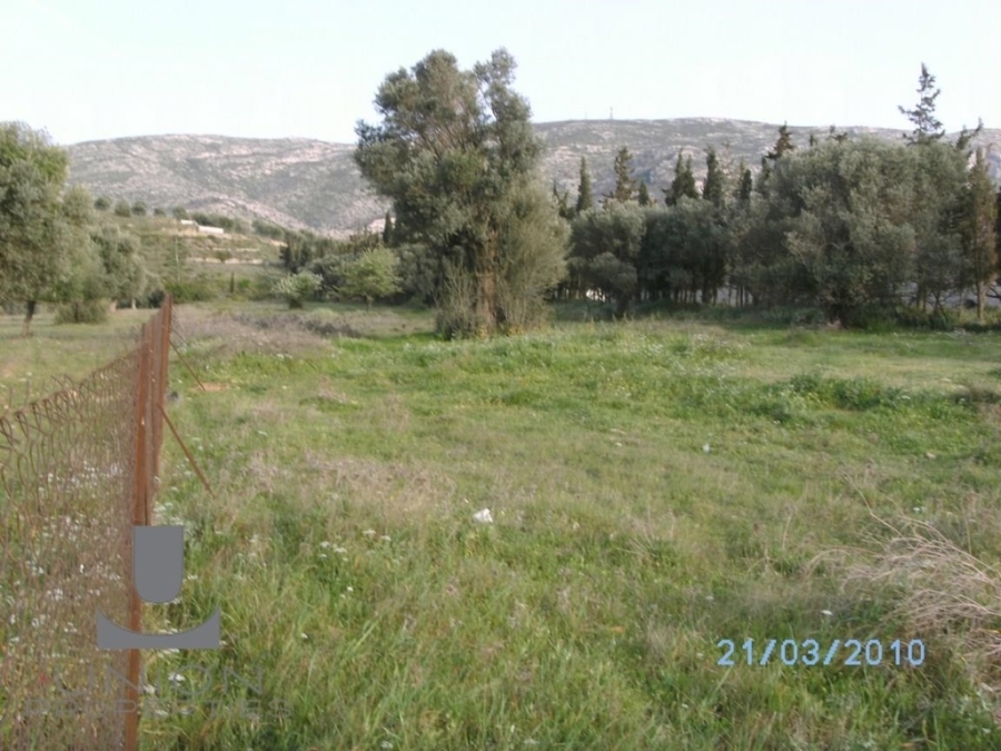 (For Sale) Land Plot || East Attica/Kalyvia-Lagonisi - 4.130 Sq.m, 250.000€ 