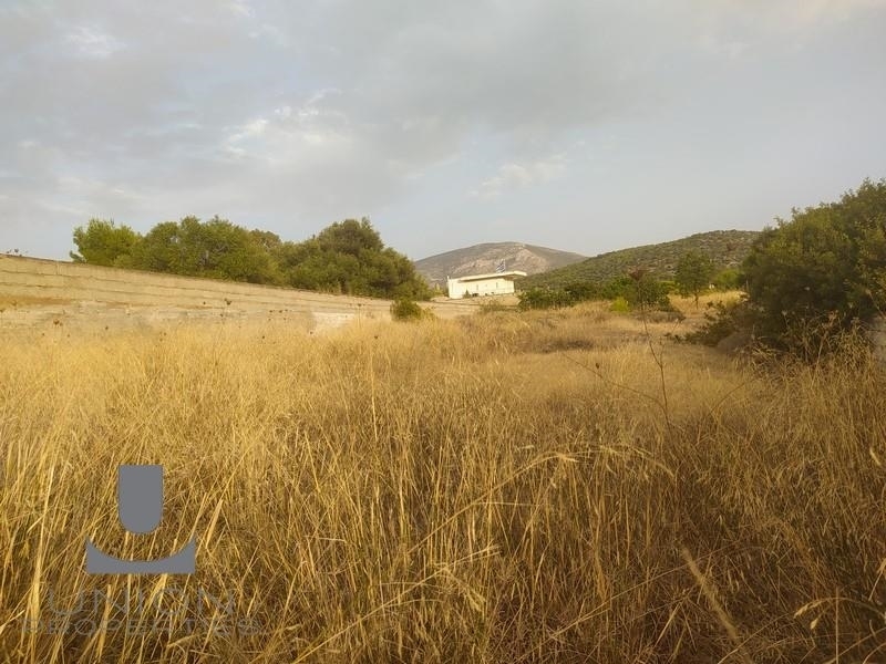(For Sale) Land Plot || East Attica/Koropi - 670 Sq.m, 210.000€ 