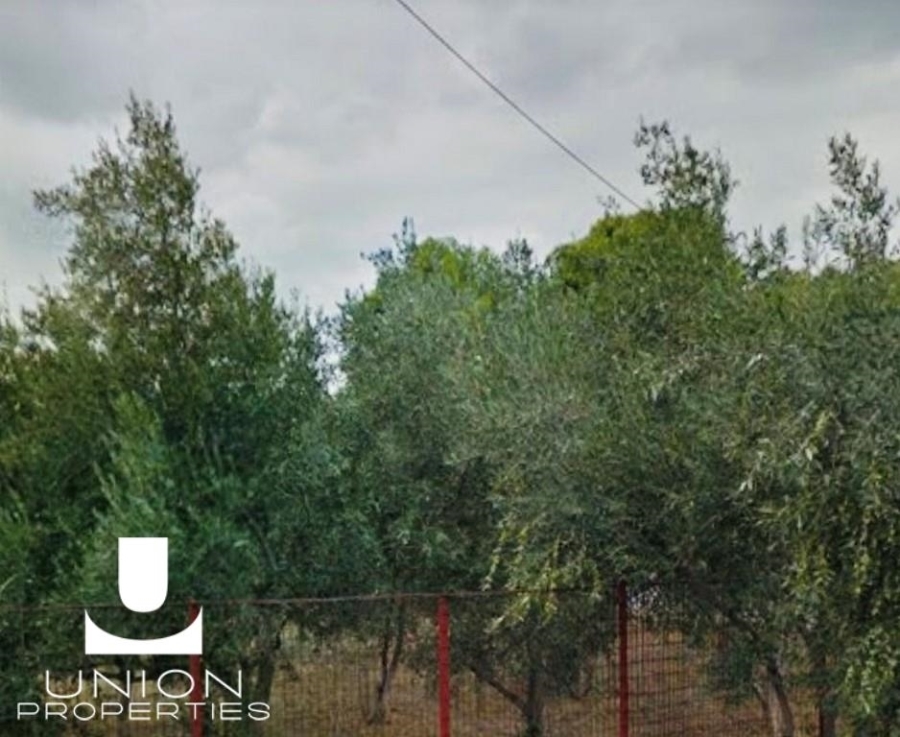 (For Sale) Land Plot || Athens North/Kifissia - 980 Sq.m, 1.330.000€ 