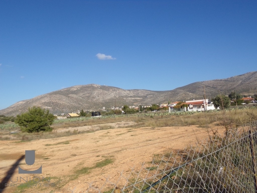 (For Sale) Land Plot || East Attica/Kalyvia-Lagonisi - 3.000 Sq.m, 160.000€ 