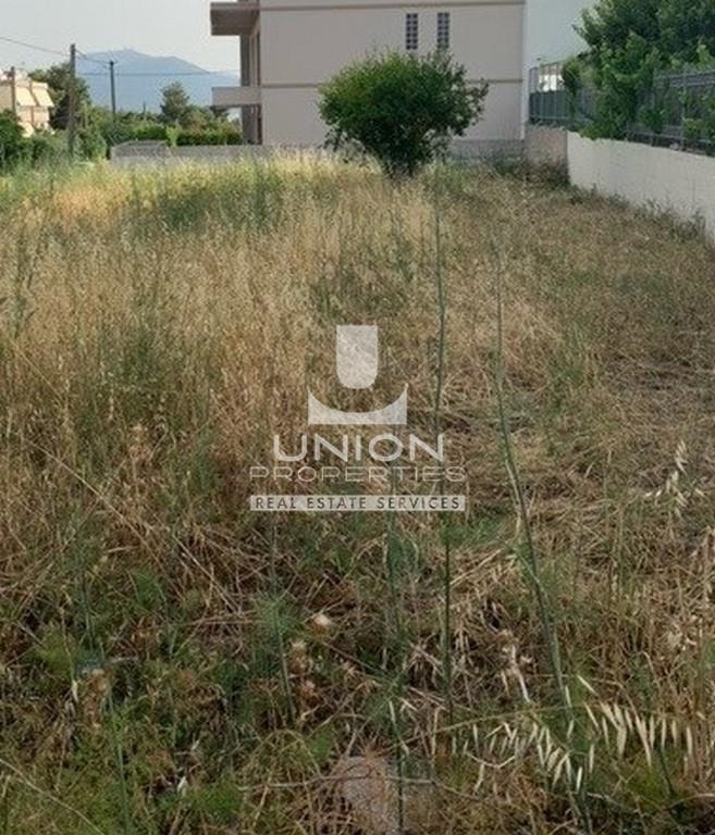 (用于出售) 建设用地 地块 || Athens North/Chalandri - 314 平方米, 320.000€ 