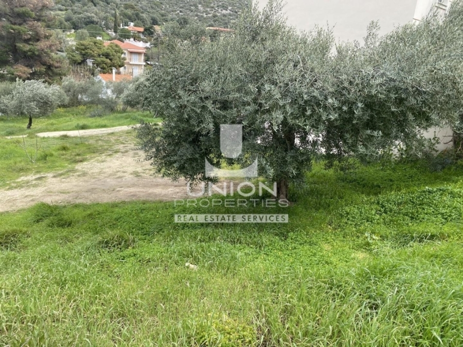 (For Sale) Land Plot || East Attica/Kalyvia-Lagonisi - 226 Sq.m, 70.000€ 