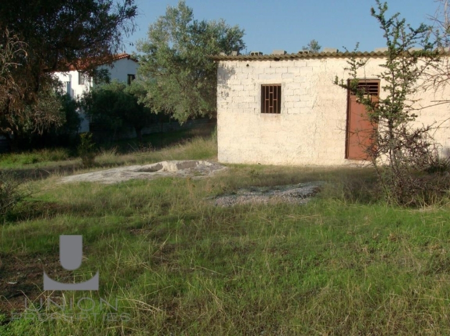 (For Sale) Land Plot || East Attica/Koropi - 527 Sq.m, 50.000€ 