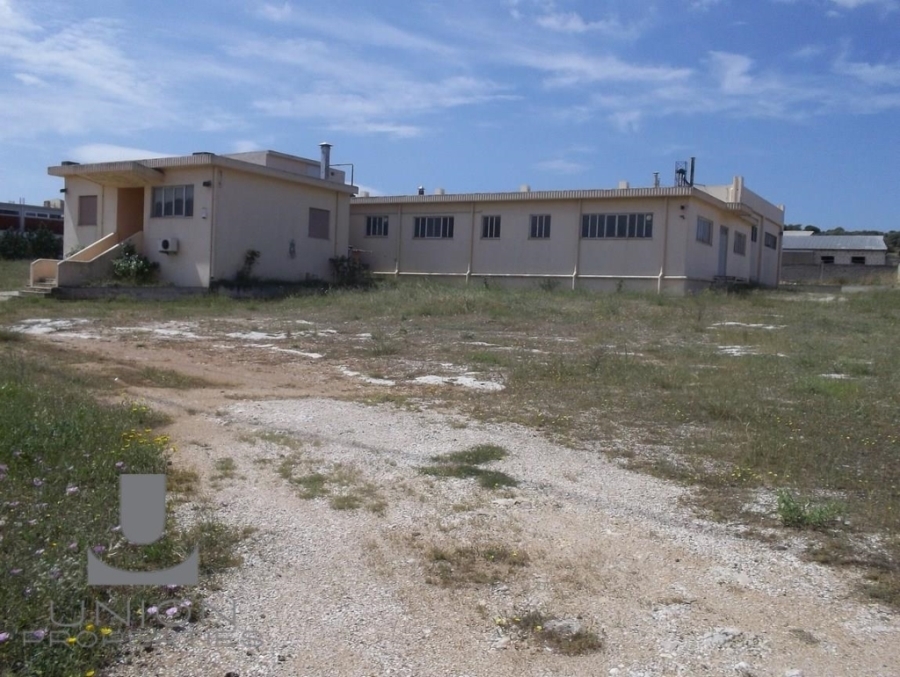(For Sale) Land Plot || East Attica/Koropi - 6.237 Sq.m, 1.700.000€ 