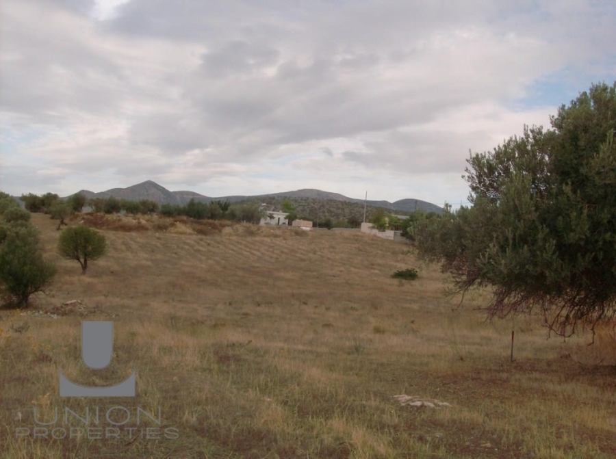 (For Sale) Land Plot || East Attica/Koropi - 5.000 Sq.m, 300.000€ 