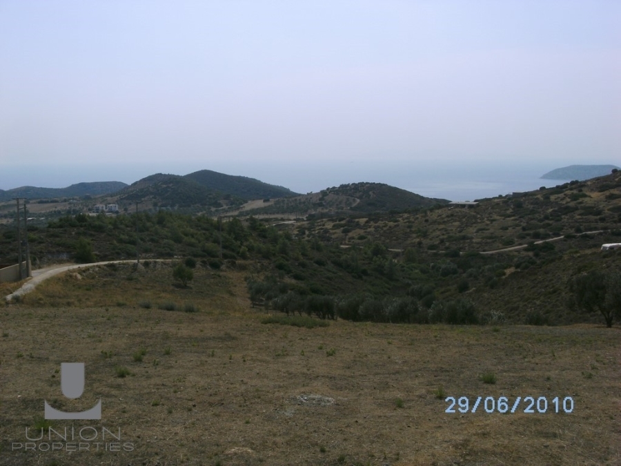 (For Sale) Land Plot || East Attica/Palaia Phokaia - 6.450 Sq.m, 200.000€ 