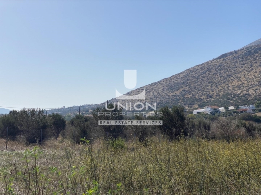 (For Sale) Land Plot || East Attica/Kalyvia-Lagonisi - 4.901 Sq.m, 300.000€ 