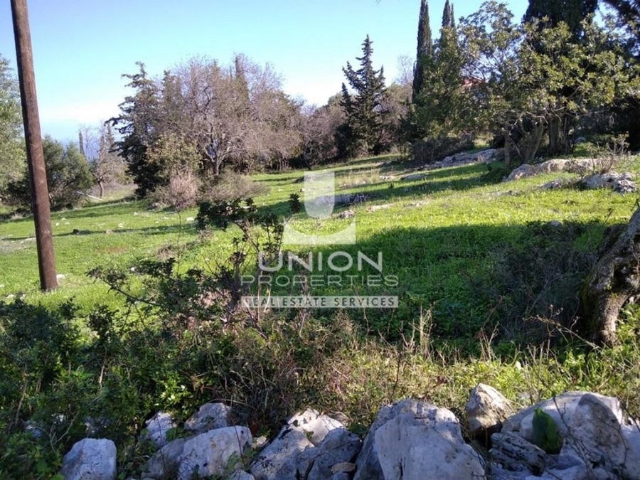 (For Sale) Land Plot || Zakynthos (Zante)/Elatio - 3.344 Sq.m, 100.000€ 
