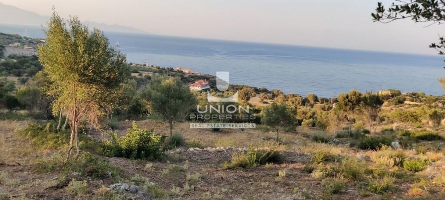 (For Sale) Land Plot || Zakynthos (Zante)/Elatio - 7.269 Sq.m, 260.000€ 