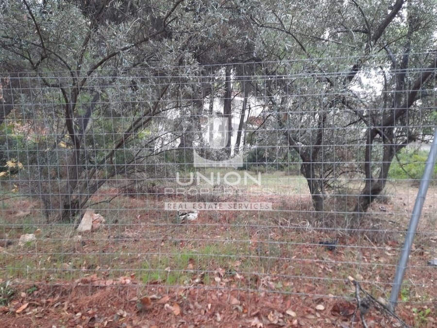 (For Sale) Land Plot || Athens North/Ekali - 1.270 Sq.m, 900.000€ 