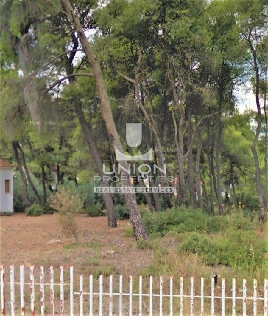 (For Sale) Land Plot || East Attica/Drosia - 4.135 Sq.m, 2.400.000€ 