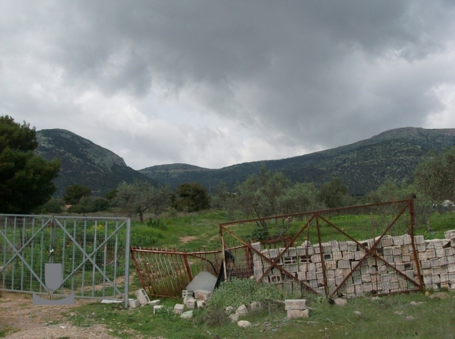 (For Rent) Land Plot || East Attica/Koropi - 4.800 Sq.m, 800€ 