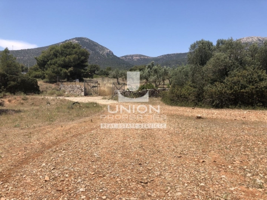 (For Sale) Land Plot || East Attica/Koropi - 4.800 Sq.m, 250.000€ 