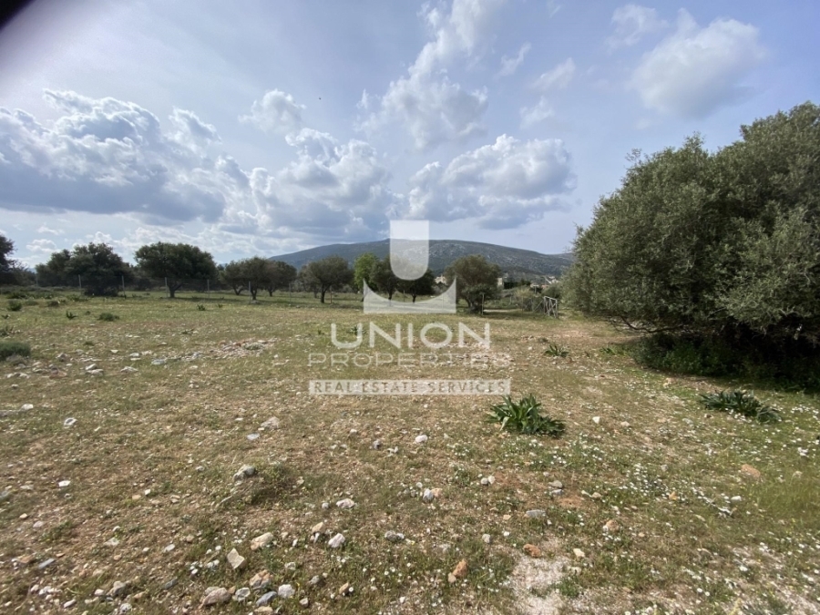 (For Sale) Land Plot || East Attica/Kalyvia-Lagonisi - 586 Sq.m, 45.000€ 