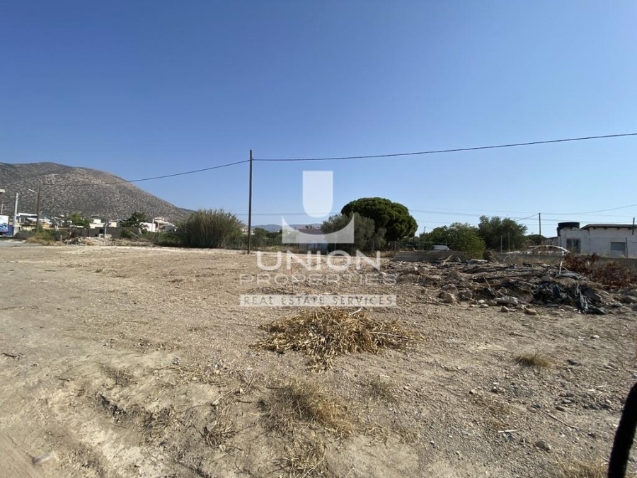 (For Sale) Land Plot || East Attica/Anavyssos - 800 Sq.m, 200.000€ 