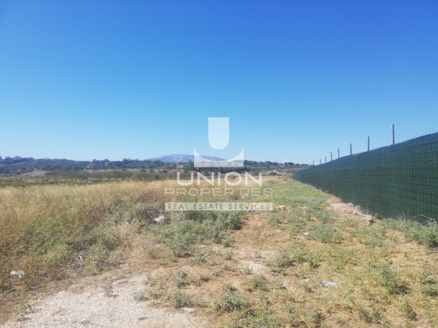 (For Sale) Land Plot || East Attica/Markopoulo Mesogaias - 9.900 Sq.m, 150.000€ 