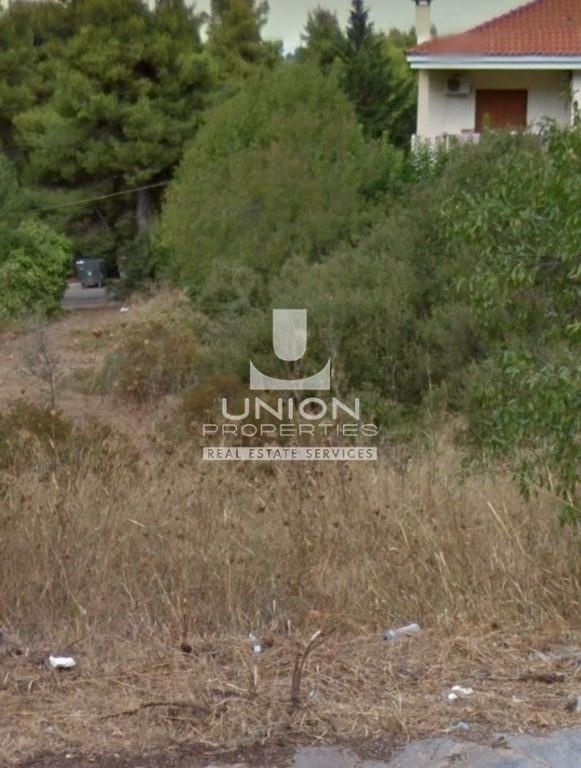 (For Sale) Land Plot || East Attica/Dionysos - 805 Sq.m, 235.000€ 