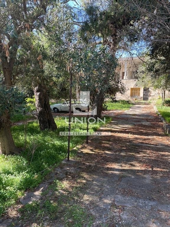(For Sale) Land Plot || Athens North/Penteli - 1.041 Sq.m, 850.000€ 