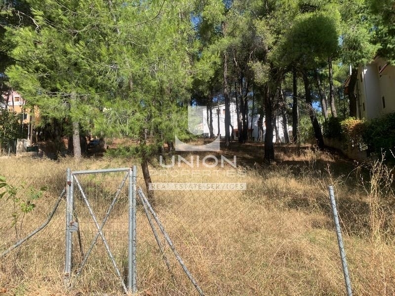 (For Sale) Land Plot || East Attica/Dionysos - 844 Sq.m, 350.000€ 
