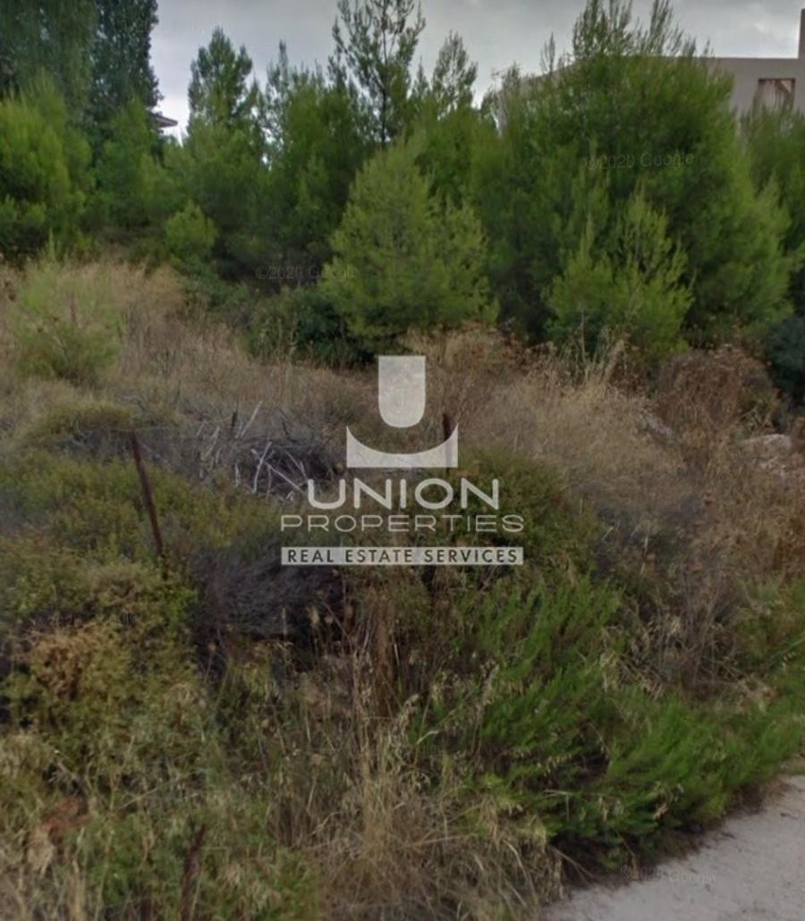 (用于出售) 建设用地 地块 || East Attica/Dionysos - 800 平方米, 350.000€ 