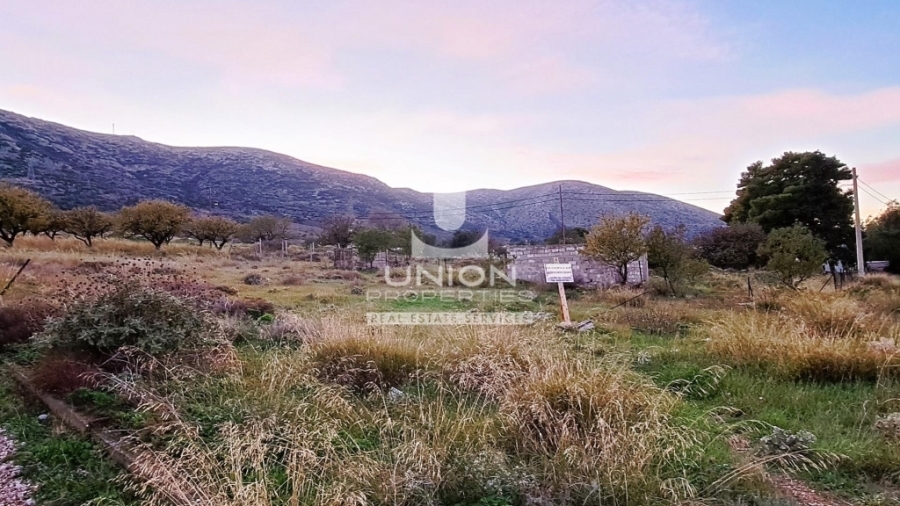 (For Sale) Land Plot || East Attica/Keratea - 798 Sq.m, 95.000€ 