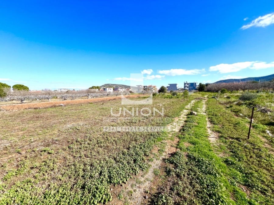 (For Sale) Land Plot || East Attica/Markopoulo Mesogaias - 812 Sq.m, 160.000€ 