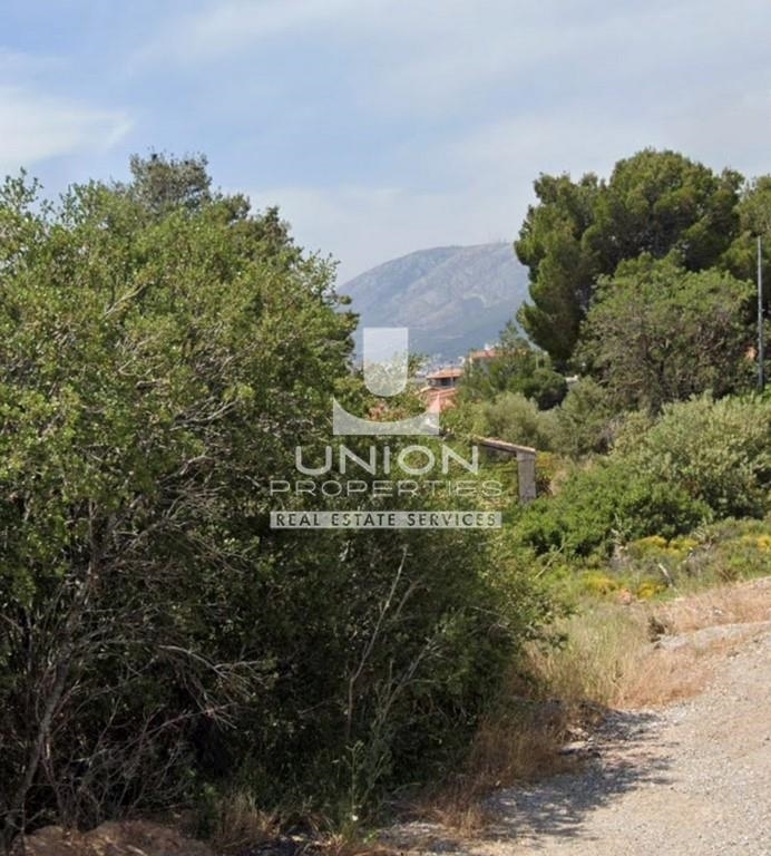 (For Sale) Land Plot || Athens North/Penteli - 1.400 Sq.m, 800.000€ 