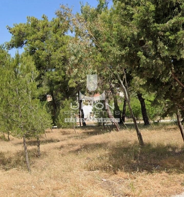 (For Sale) Land Plot || Athens North/Penteli - 1.020 Sq.m, 570.000€ 
