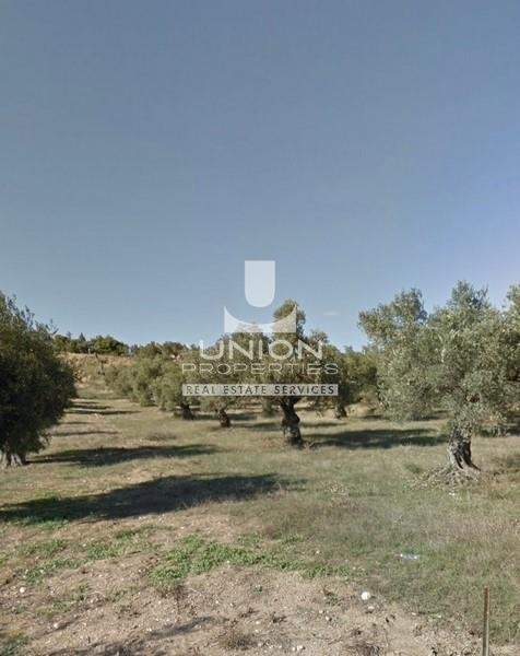 (For Sale) Land Plot || East Attica/Pallini - 10.250 Sq.m, 400.000€ 