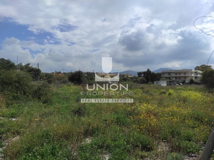 (For Rent) Land Plot || East Attica/Kalyvia-Lagonisi - 1.200 Sq.m, 600€ 