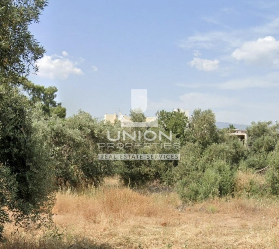 (For Sale) Land Plot || East Attica/Glyka Nera - 4.500 Sq.m, 3.000.000€ 