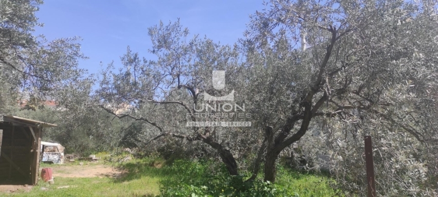(For Sale) Land Plot || Athens North/Vrilissia - 2.305 Sq.m, 3.500.000€ 