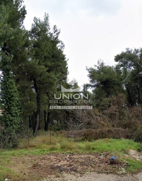 (For Sale) Land Plot || East Attica/Drosia - 650 Sq.m, 260.000€ 