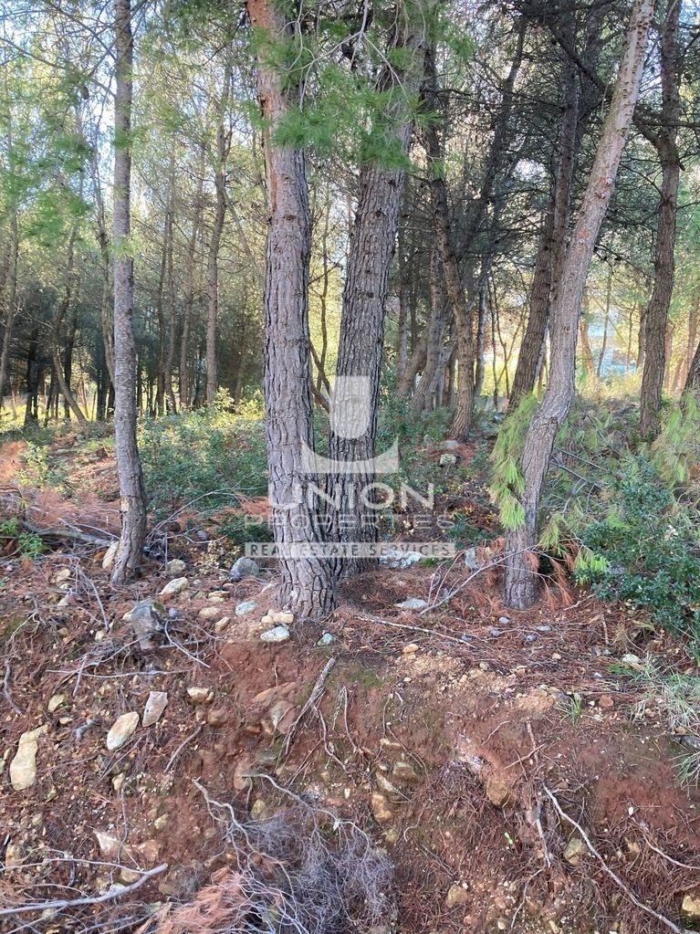 (For Sale) Land Plot || East Attica/Dionysos - 414 Sq.m, 137.000€ 