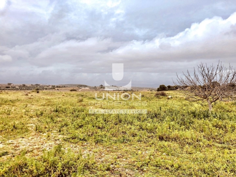 (For Sale) Land Plot || East Attica/Markopoulo Mesogaias - 4.394 Sq.m, 95.000€ 