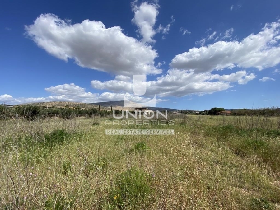 (For Sale) Land Plot || East Attica/Anavyssos - 7.790 Sq.m, 400.000€ 