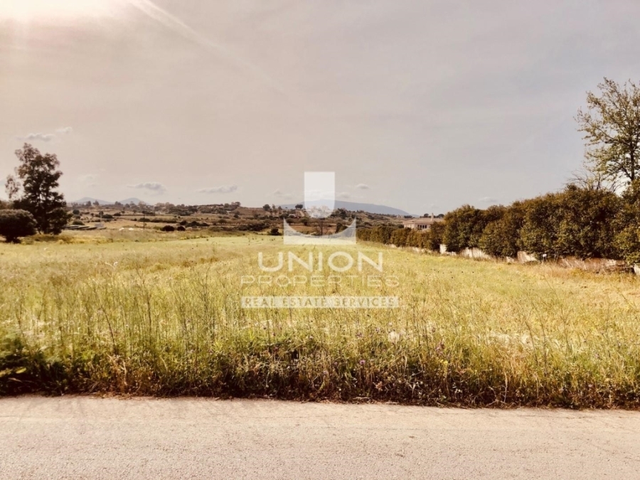 (For Sale) Land Plot || East Attica/Markopoulo Mesogaias - 13.970 Sq.m, 230.000€ 