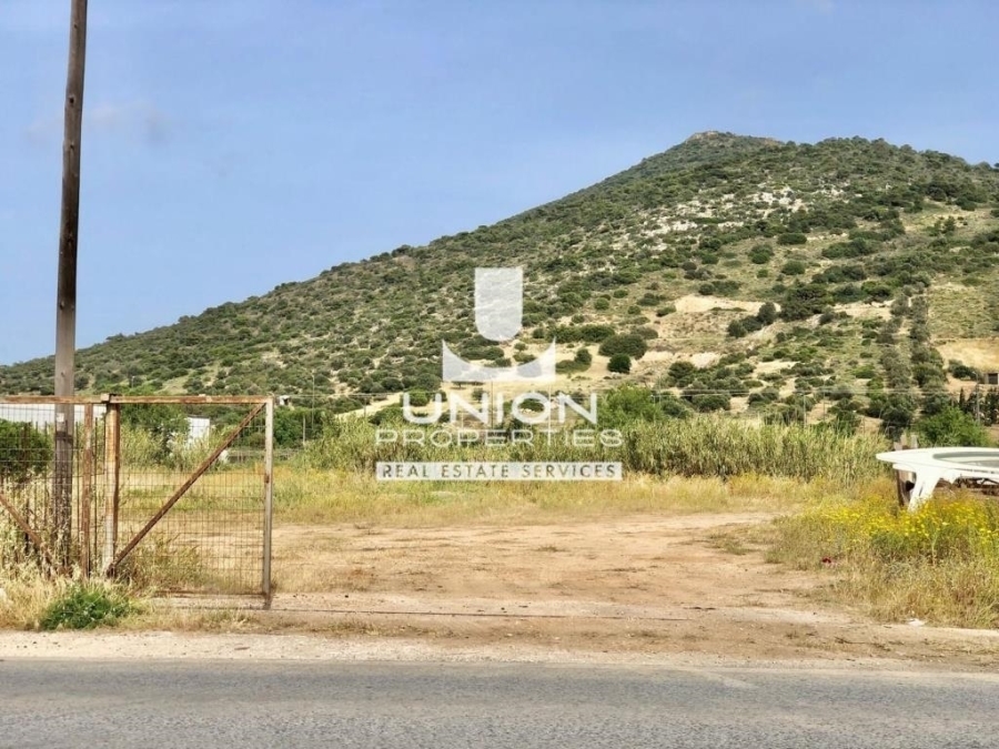 (For Rent) Land Plot || East Attica/Kalyvia-Lagonisi - 7.818 Sq.m, 4.000€ 