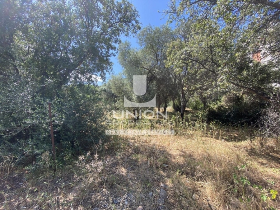 (For Sale) Land Plot || East Attica/Saronida - 857 Sq.m, 450.000€ 